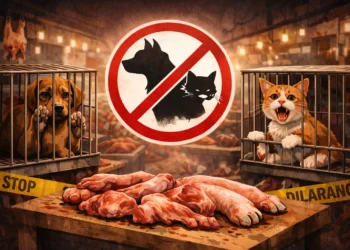 Dok. Humas Pemprov Kaltim