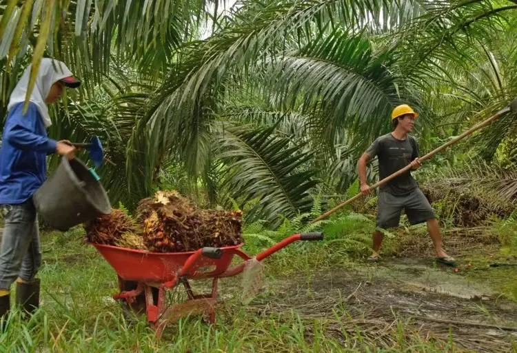 Dok. Humas Pemprov Kaltim
