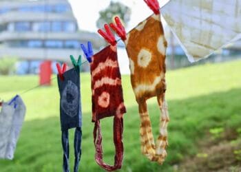 Batik khas IKN yang diolah dari Hutan Kalimantan (Foto: OIKN)