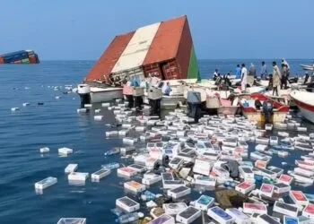 Ribuan Iphone yang jatuh di Selat Hormuz (foto: istimewa)